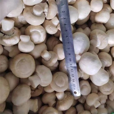 Bolets de botó blanc superior