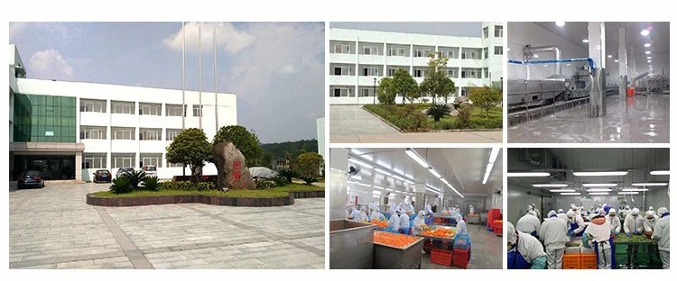 company profile company profile