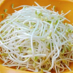 Brots de soja Mongetes mungo